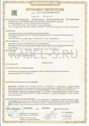 Таможенный сертификат НВП 4х2х0,52