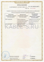 Таможенный сертификат ТППШв 10х2х0,4 Таможенный сертификат ТППШв 10х2х0,4