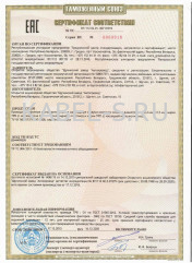 Таможенный сертификат ТРП 2х0,4
