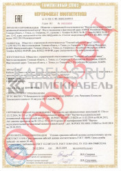 Таможенный сертификат NUM 2х10 Таможенный сертификат NUM 2х10