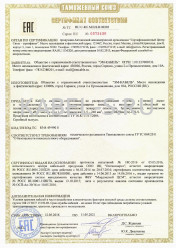 Таможенный сертификат ВБШвнг-FRLS 4х70 Таможенный сертификат ВБШвнг-FRLS 4х70