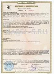 Таможенный сертификат КГВЭВ 2х1 Таможенный сертификат КГВЭВ 2х1