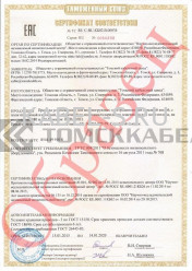 Таможенный сертификат ВПП 25