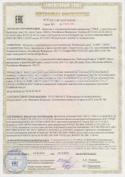 Таможенный сертификат ППГнг-FRHF 5х185 Таможенный сертификат ППГнг-FRHF 5х185