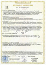 Таможенный сертификат ППГЭнг(A)-FRHF 2х10 Таможенный сертификат ППГЭнг(A)-FRHF 2х10