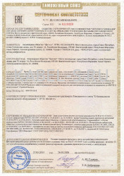 Таможенный сертификат ПуГВнг-LS 1х35 Таможенный сертификат ПуГВнг-LS 1х35