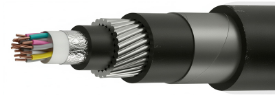 СБППэпЗБаШп 61х0,9