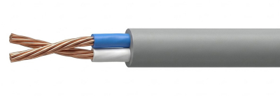 Лоутокс 21нг(А)-FRLSLTx 2х2х0,5