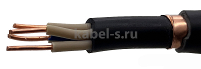 ВВГЭнг(А)-LSLTx 2х10